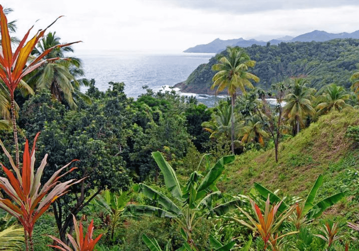 راهنمای بازدید از دومینیکا؛ جزیره طبیعت